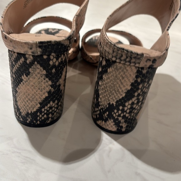 Madden Girl Black and Tan Snake Print Mules — Candiice - Picture 4 of 6